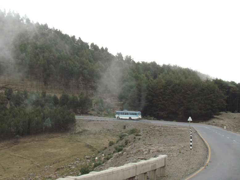 zona de explotación maderera